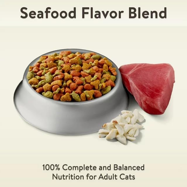 Seafood Flavor Dry Cat Food 16 P2938