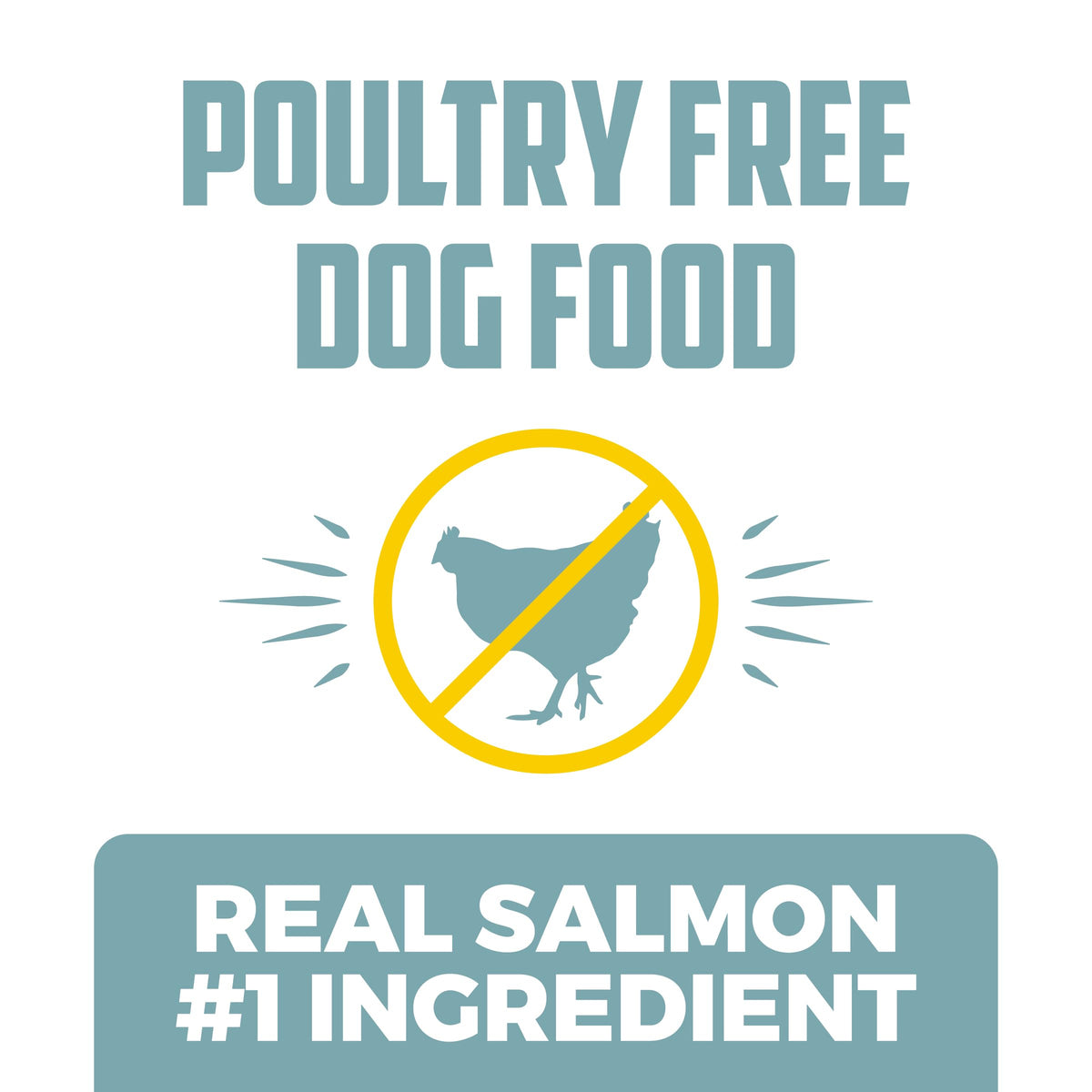 Salmon Poultry Free Dog Food, 30 lb. C380479
