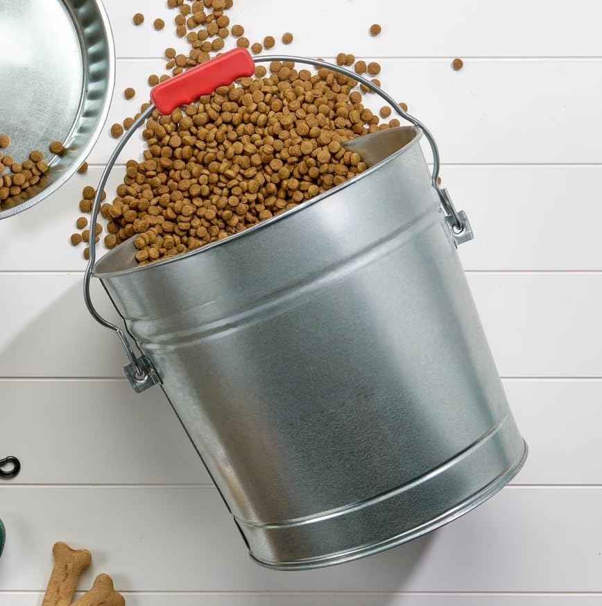 Galvanized Steel 6 Gallon Storage Can with Locking Lid R755795