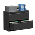 Metal File Cabinet with Lock, 2 Drawer Z8098
