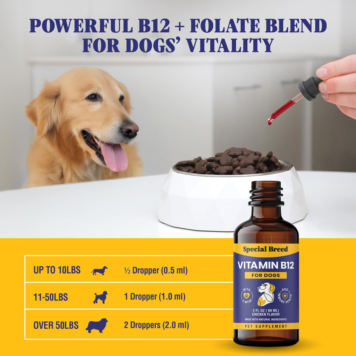 Liquid Vitamin B12 for Dogs, Chicken Flavor, 2 fl oz A6922