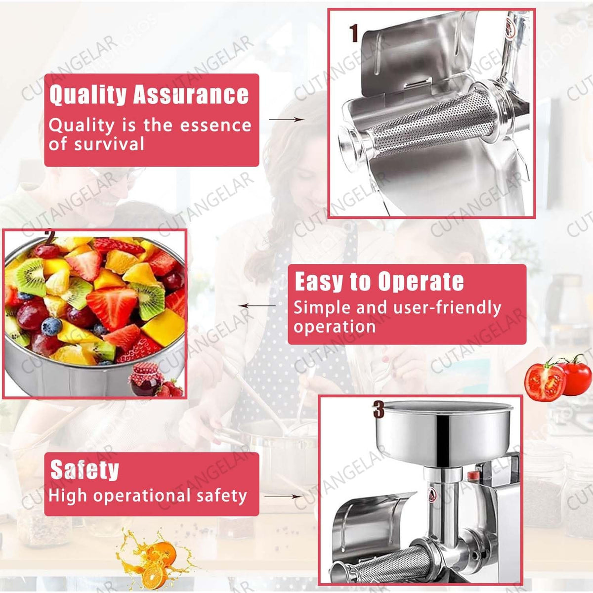 450W Automatic Stainless Steel Tomato Strainer L433