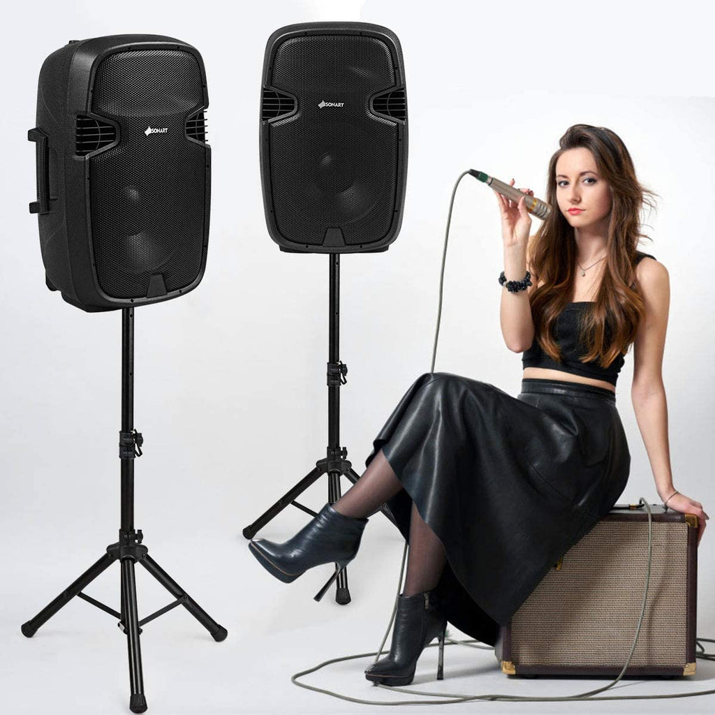 Portable 15" PA Speaker System Set Q9750