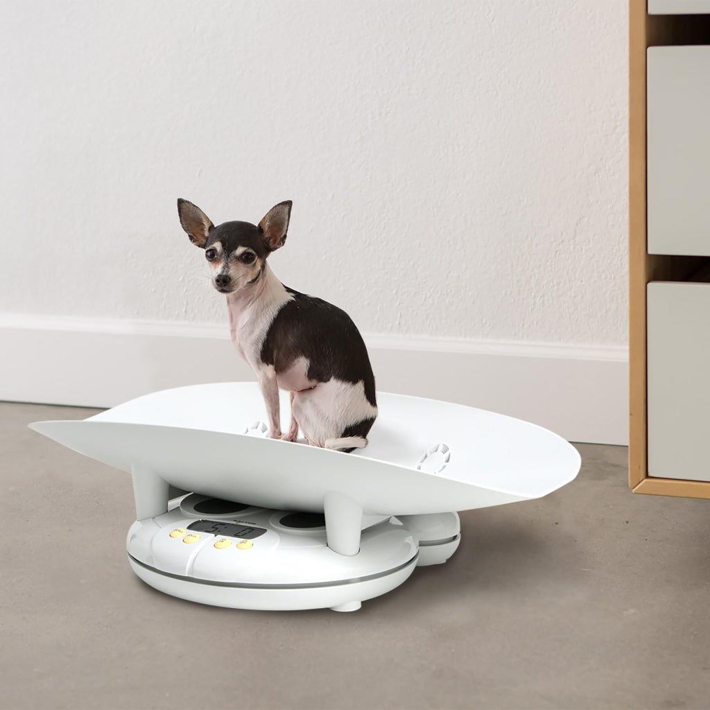 Digital Baby and Toddler Scale with Removable Tray H5936