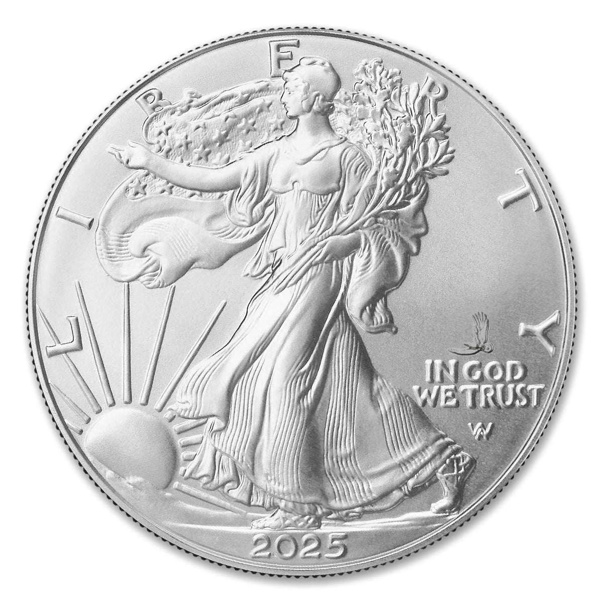 10 1 oz American Silver Eagle Coin T97211