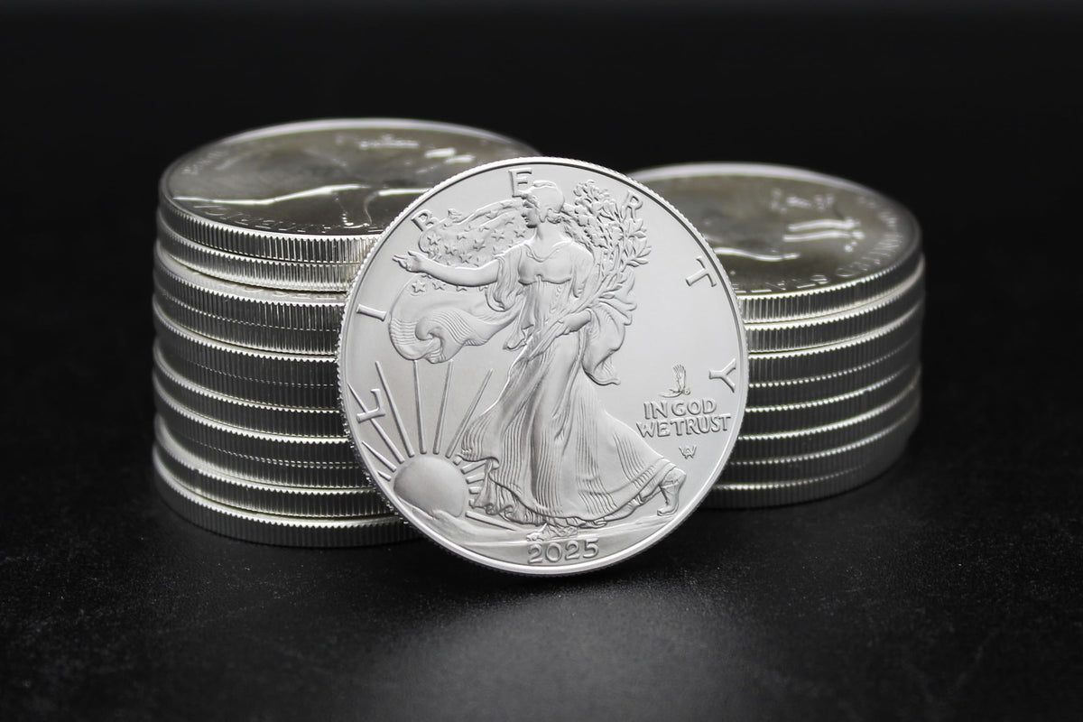 10 1 oz American Silver Eagle Coin T97211
