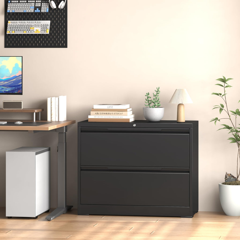 Metal File Cabinet with Lock, 2 Drawer Z8098