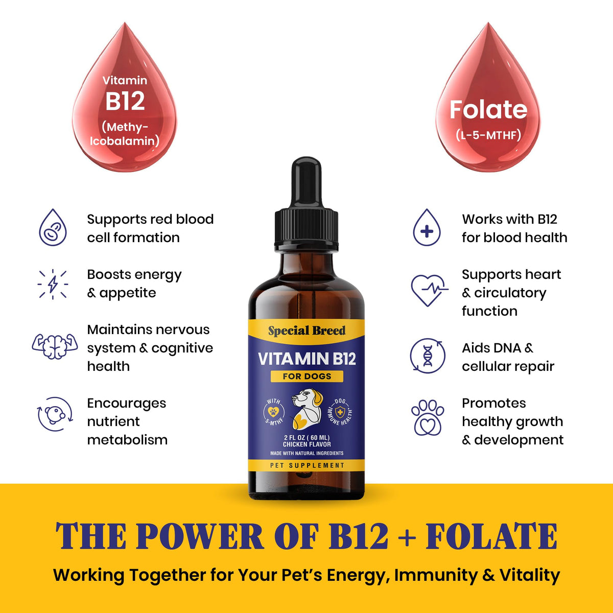 Liquid Vitamin B12 for Dogs, Chicken Flavor, 2 fl oz A6922