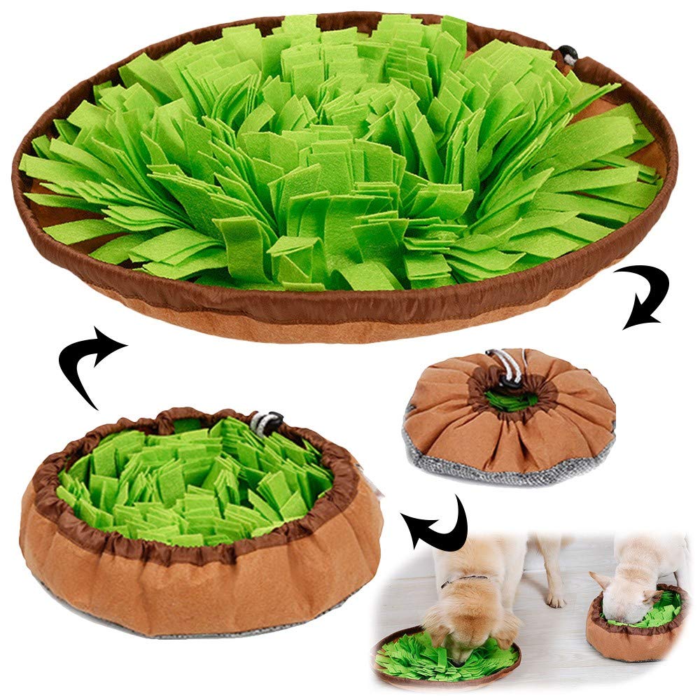Snuffle Mat for Dogs T2781