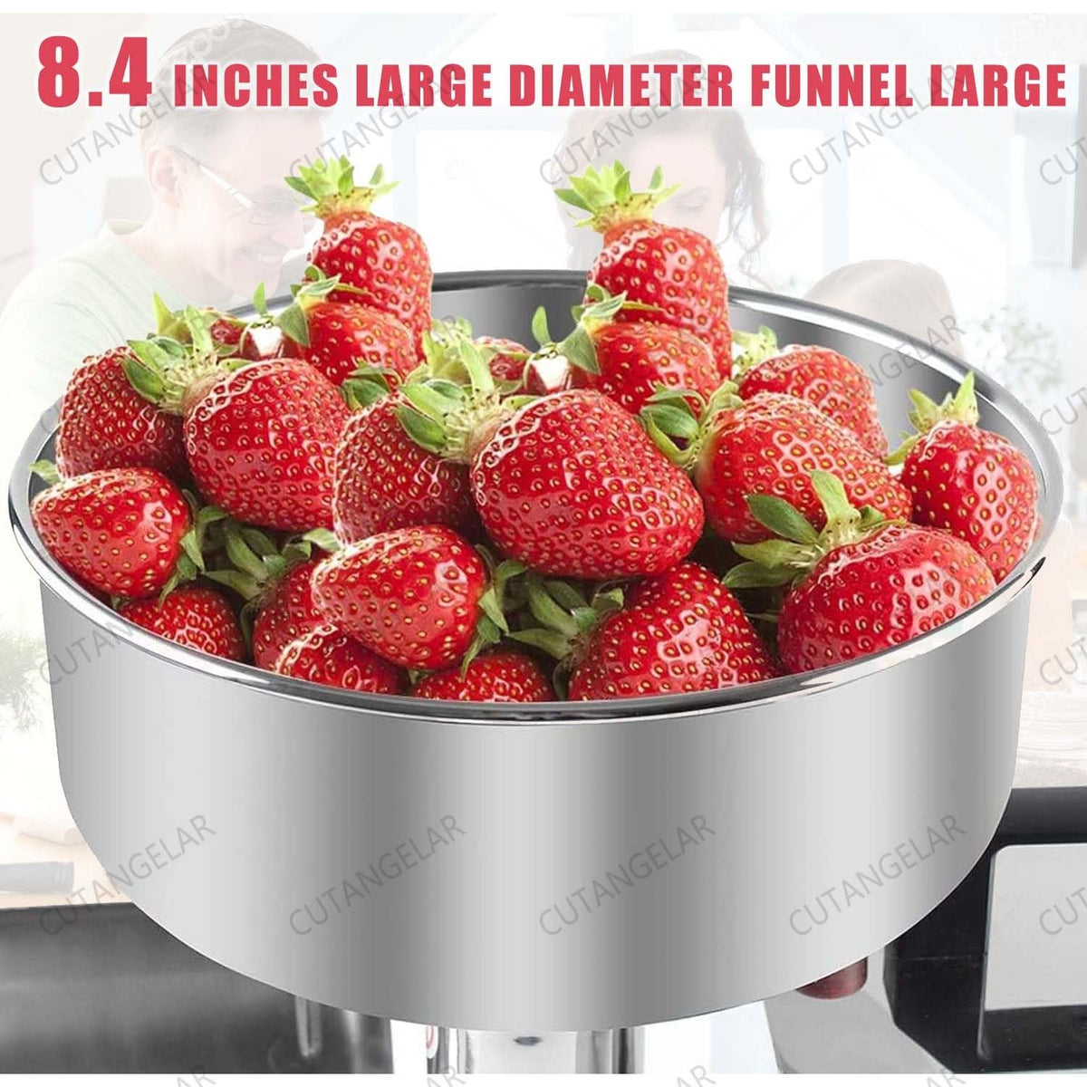 450W Automatic Stainless Steel Tomato Strainer L433