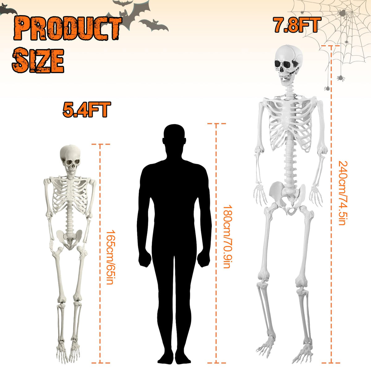 5.4FT Posable Life Size Skeleton J5601