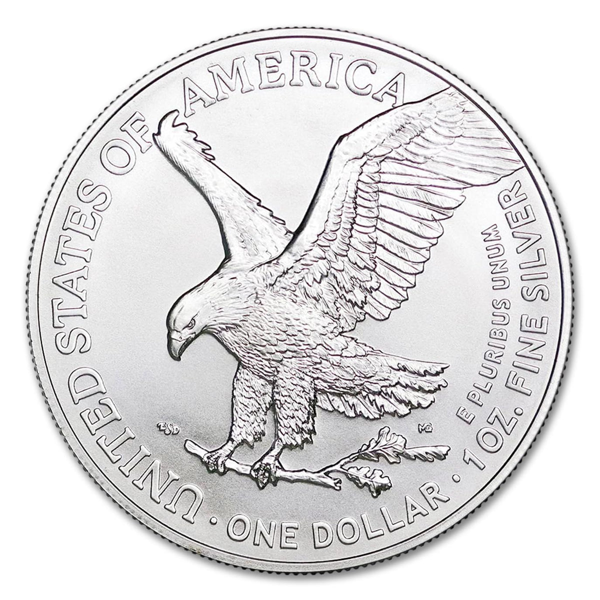 10 1 oz American Silver Eagle Coin T97211