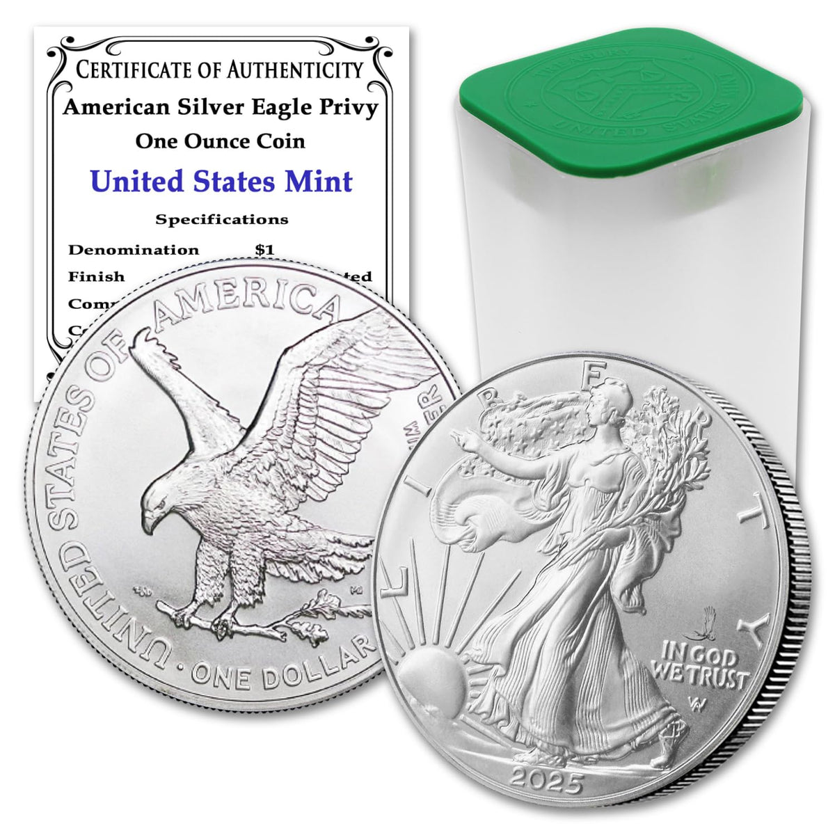 10 1 oz American Silver Eagle Coin T97211