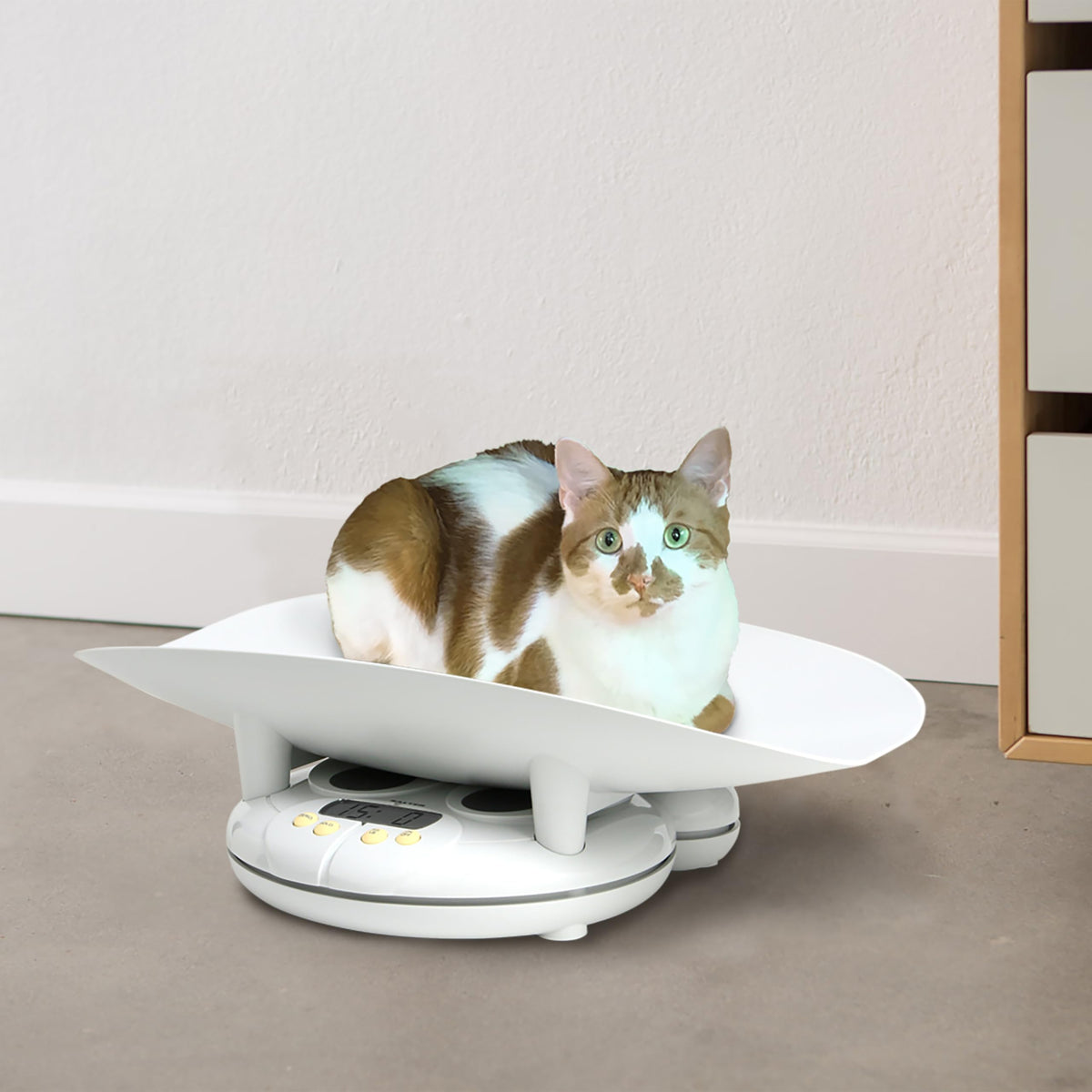 Digital Baby and Toddler Scale with Removable Tray H5936