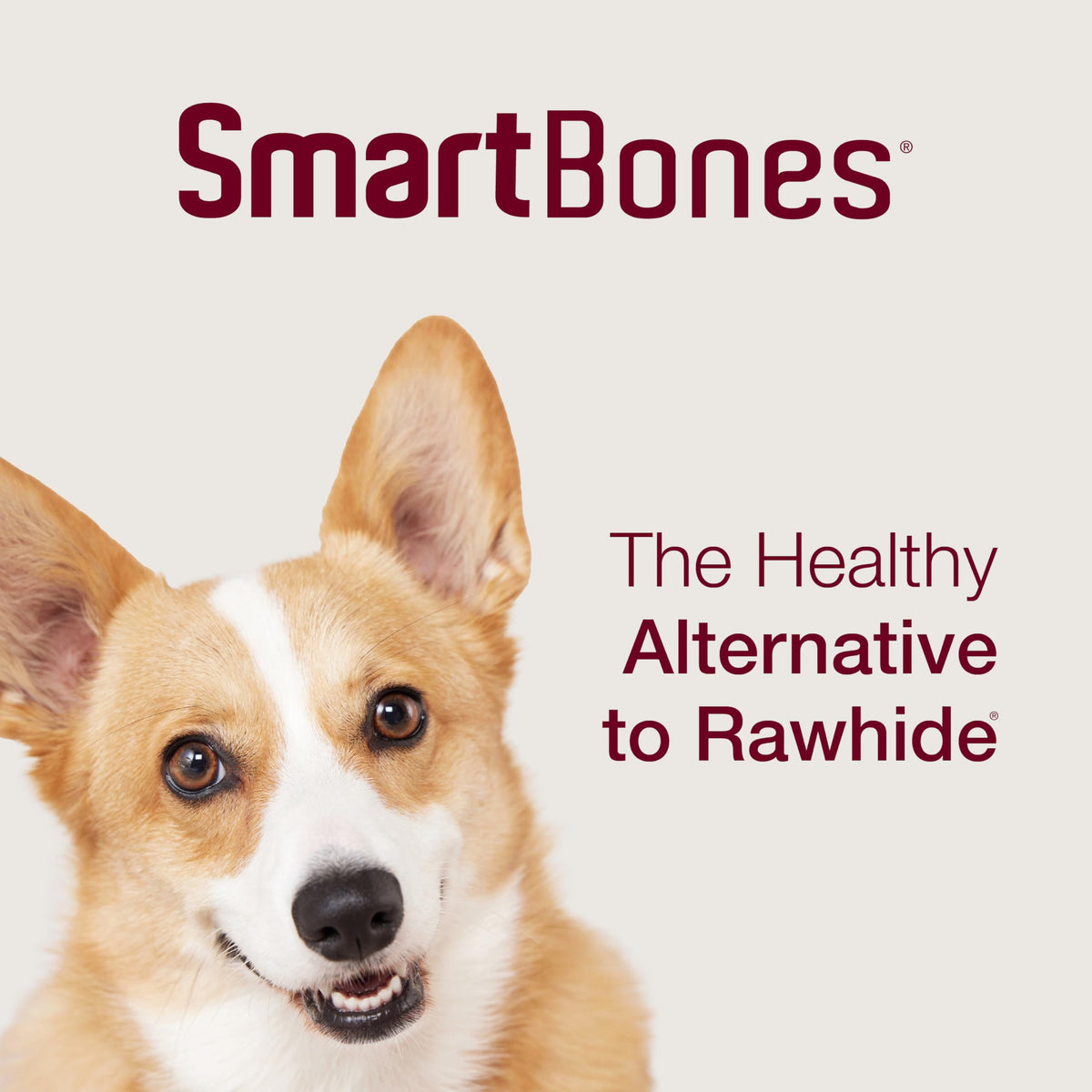 Medium Rawhide-Free Dog Treat with Peanut Butter, 4 Count O482749