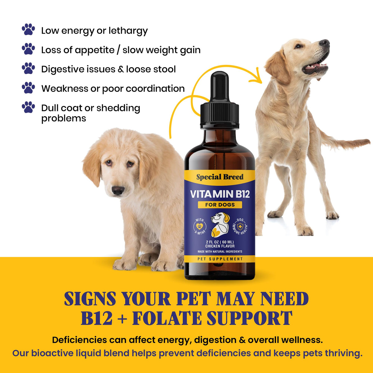 Liquid Vitamin B12 for Dogs, Chicken Flavor, 2 fl oz A6922