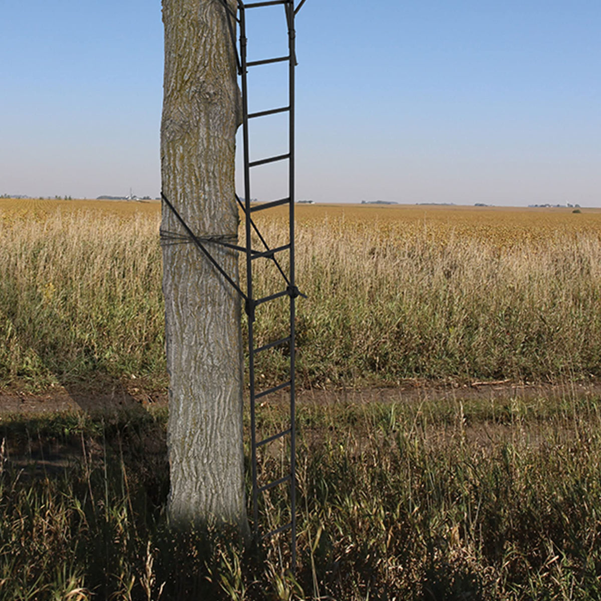 2 Person 18 Foot Tall Portable Hunting Tree Ladder Stand (2 Pack) M78776