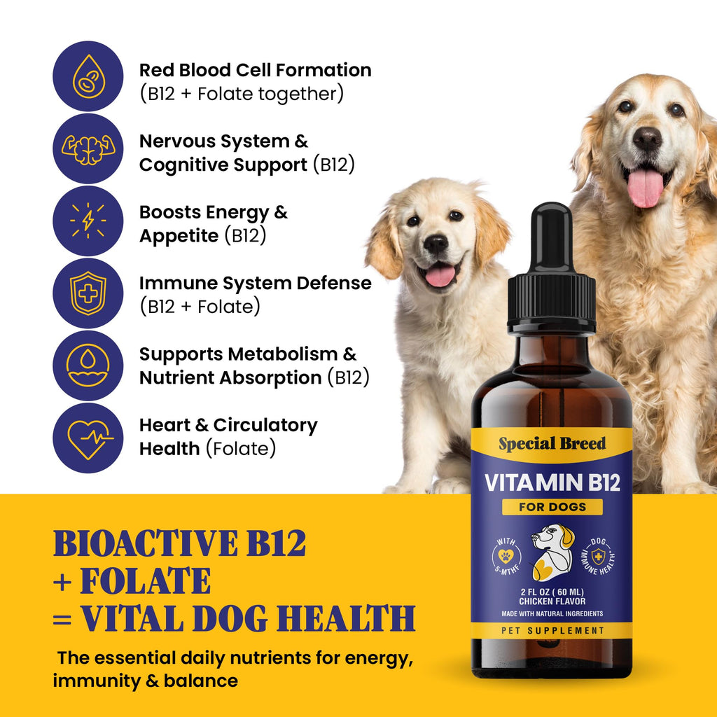 Liquid Vitamin B12 for Dogs, Chicken Flavor, 2 fl oz A6922