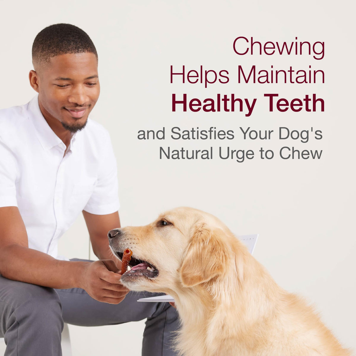 Medium Rawhide-Free Dog Treat with Peanut Butter, 4 Count O482749