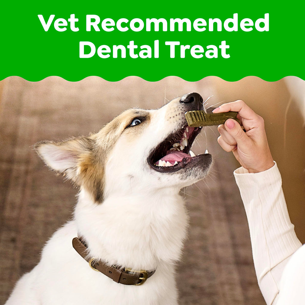 Original Chicken Flavor 36 Count Dental Dog Treats G646585