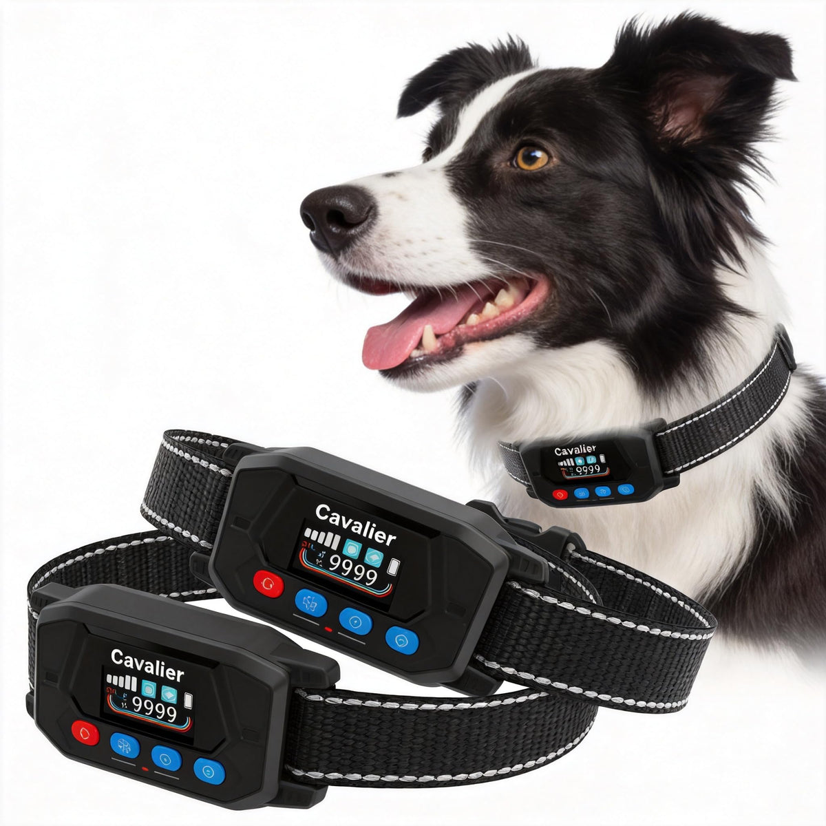 GPS Wireless Dog Fence System with 2 Collar P560136