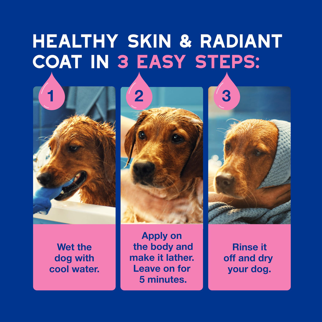 Dog Shampoo for Sensitive Skin, 16 fl oz R659634