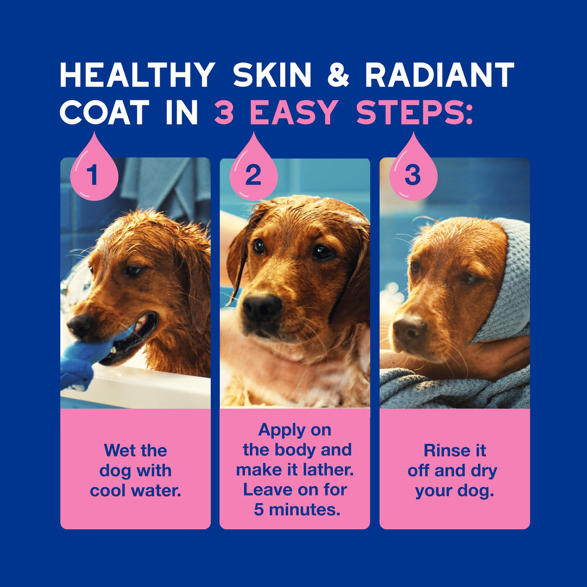 Dog Shampoo for Sensitive Skin, 16 fl oz R659634