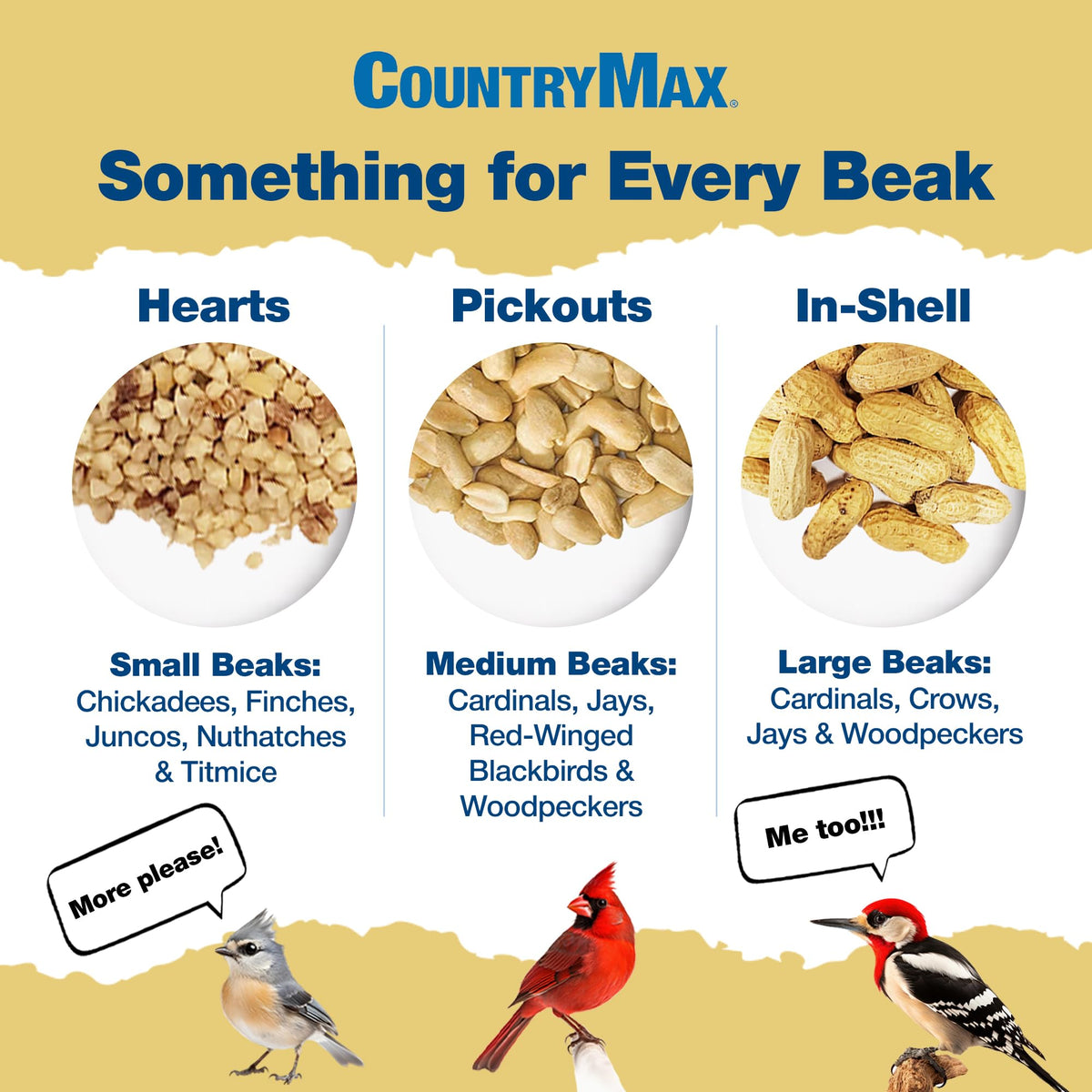 In-Shell Raw Peanuts for Wildlife & Squirrels M732