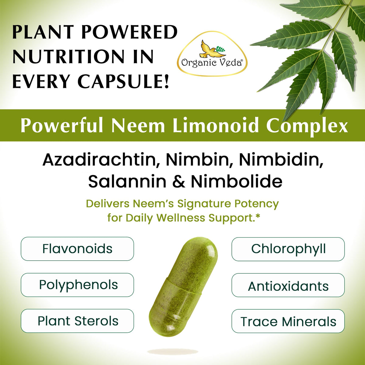 Neem Capsules 120 Vegan Capsules T7989