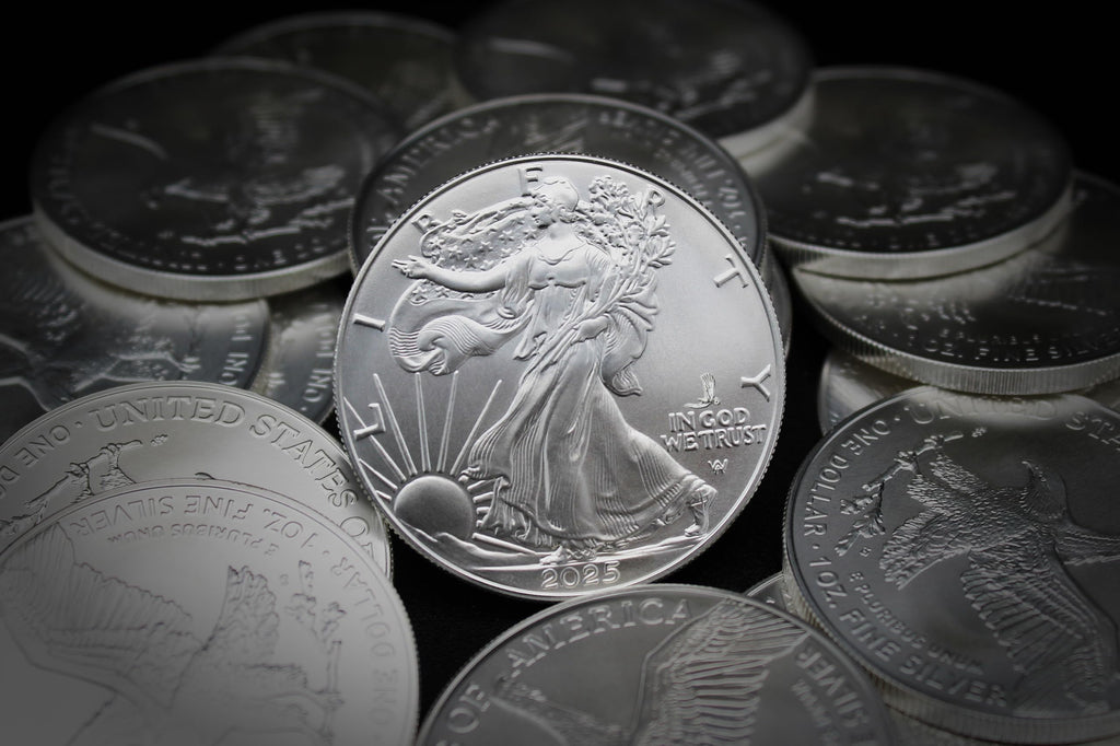 10 1 oz American Silver Eagle Coin T97211