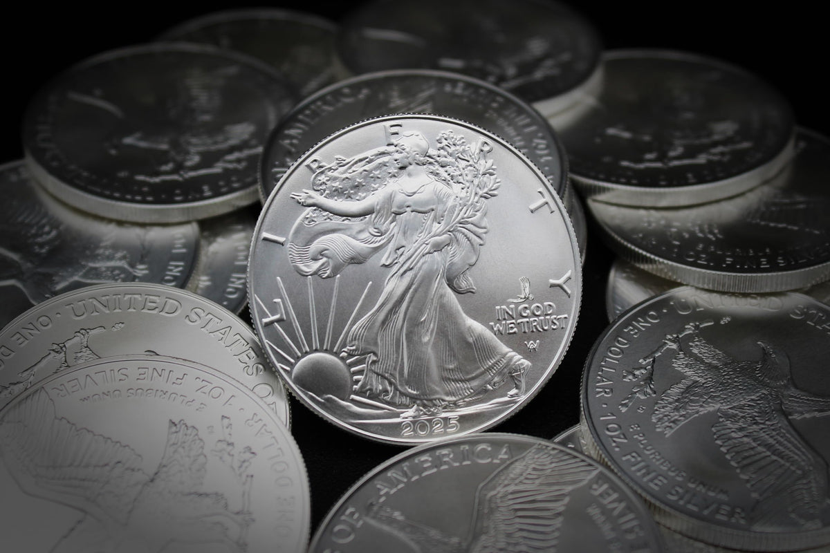 10 1 oz American Silver Eagle Coin T97211