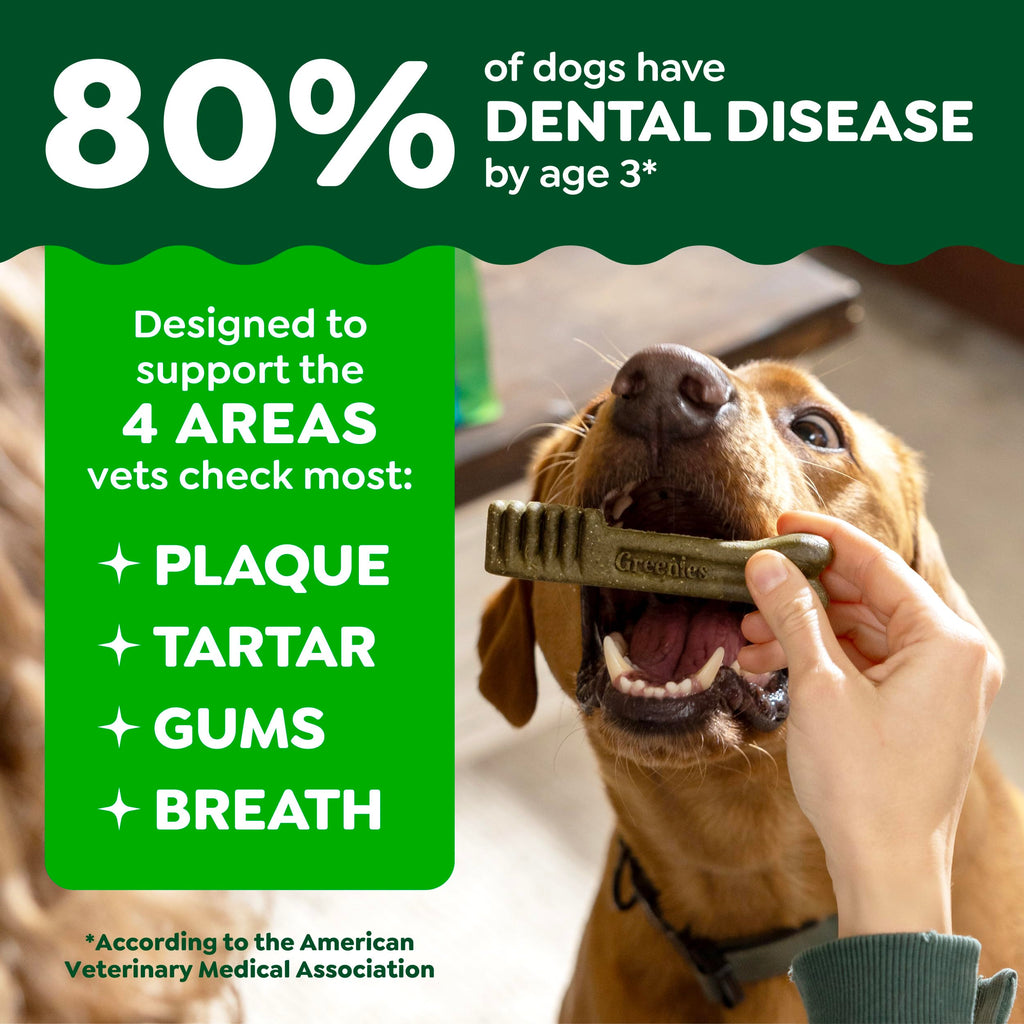 Original Chicken Flavor 36 Count Dental Dog Treats G646585