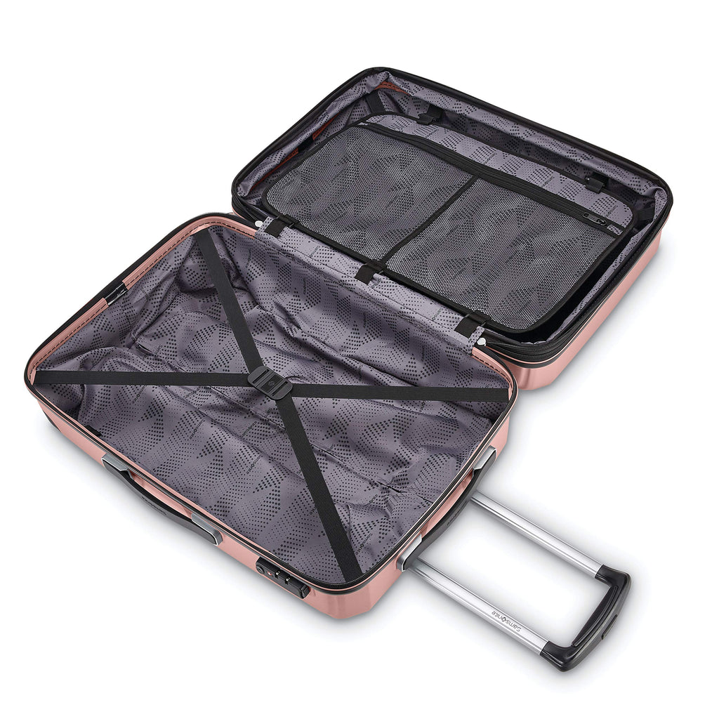 Hardside Carry-On 20-Inch Luggage with Spinners D581271