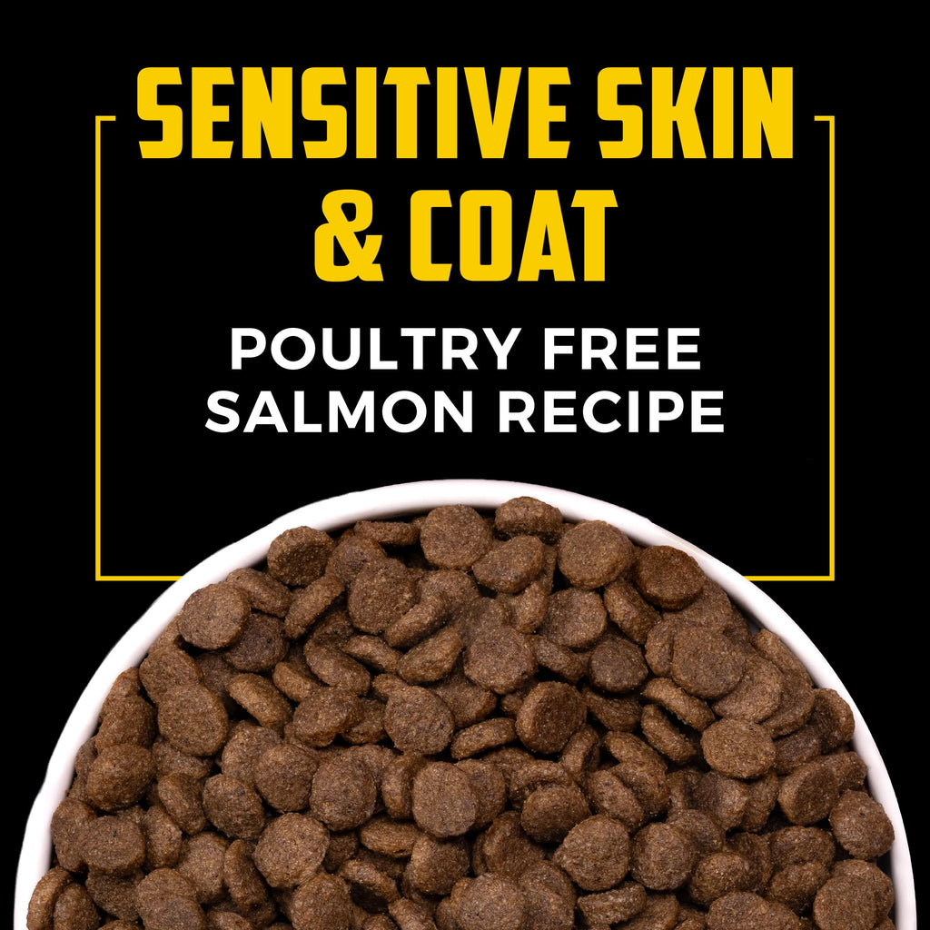 Salmon Poultry Free Dog Food, 30 lb. C380479